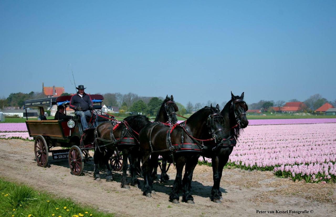 Sterrenhoeve Castricum Buitenkant foto